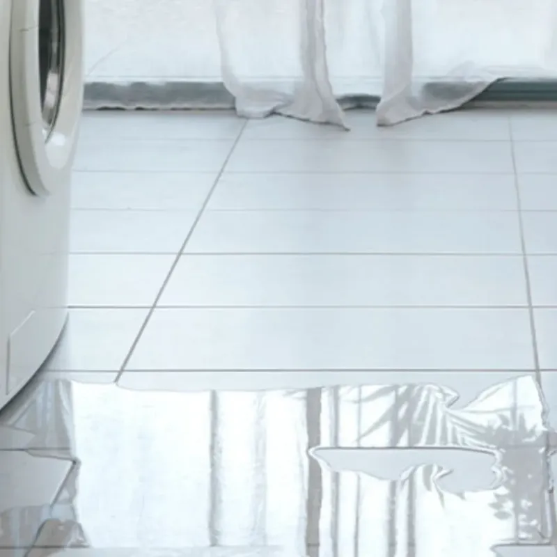 Appliance Leak Cleanup in Thurston County, WA