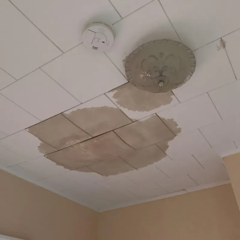Ceiling Water Damage Repair in Thurston County, WA