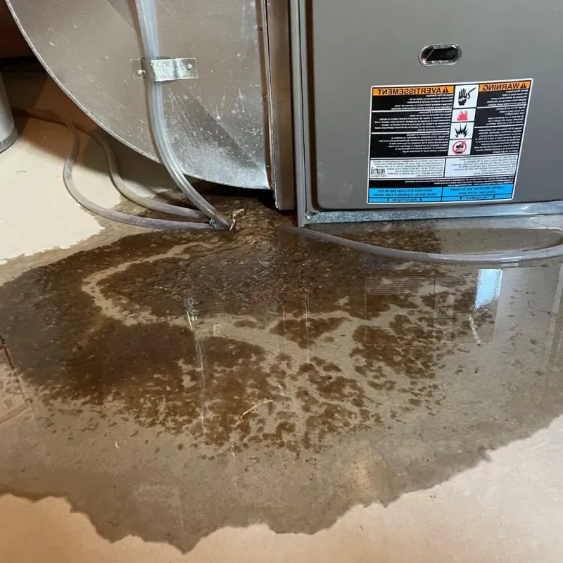 Pipe Burst and Leak Restoration in Thurston County, WA