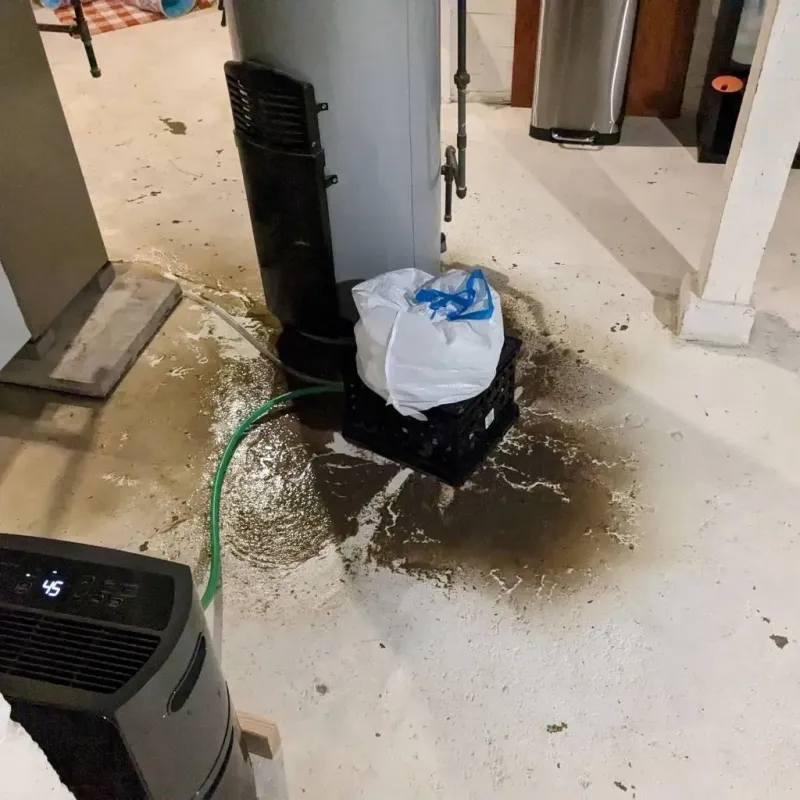 Sewage Backup Cleanup Service in Thurston County, WA